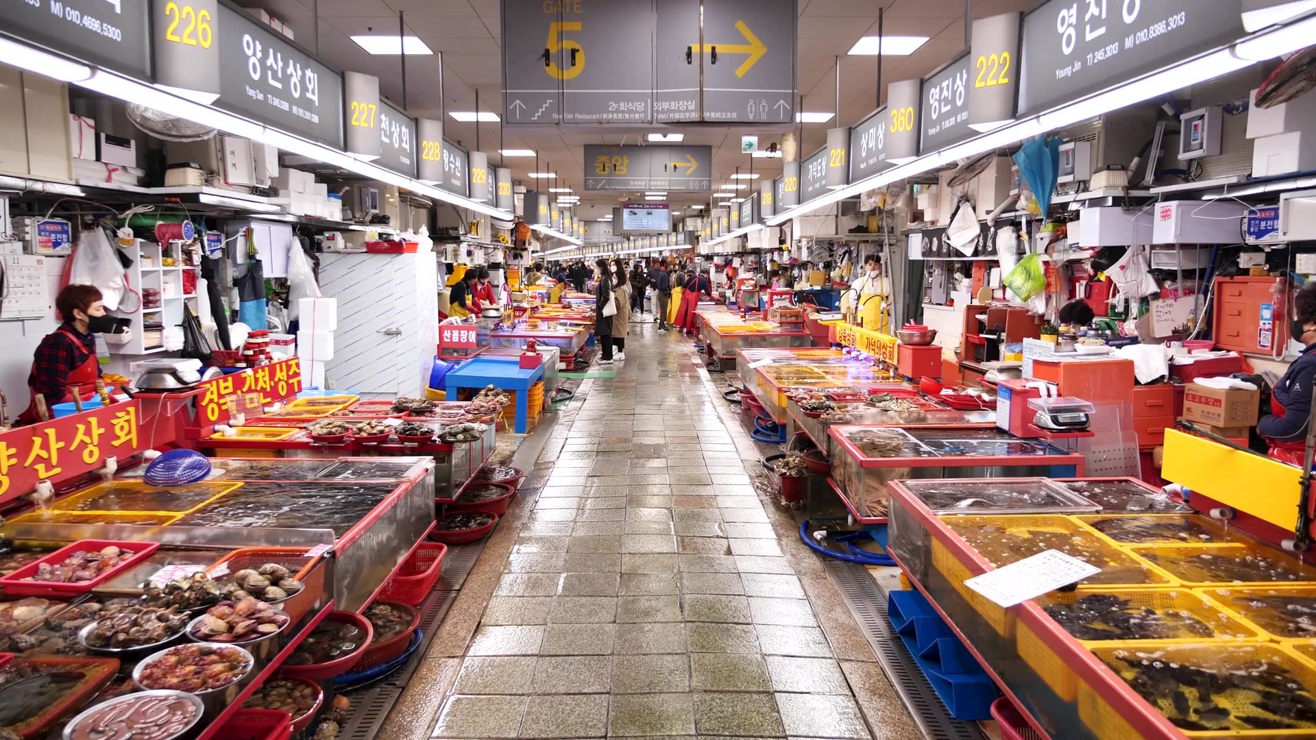 Climate Change and Conflict Are Making Seafood More Expensive in South Korea