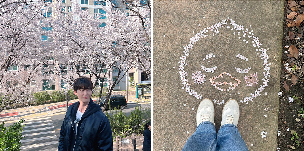 Lee Jong-suk’s Cherry Blossom Post Fuels IU Speculation Among Fans
