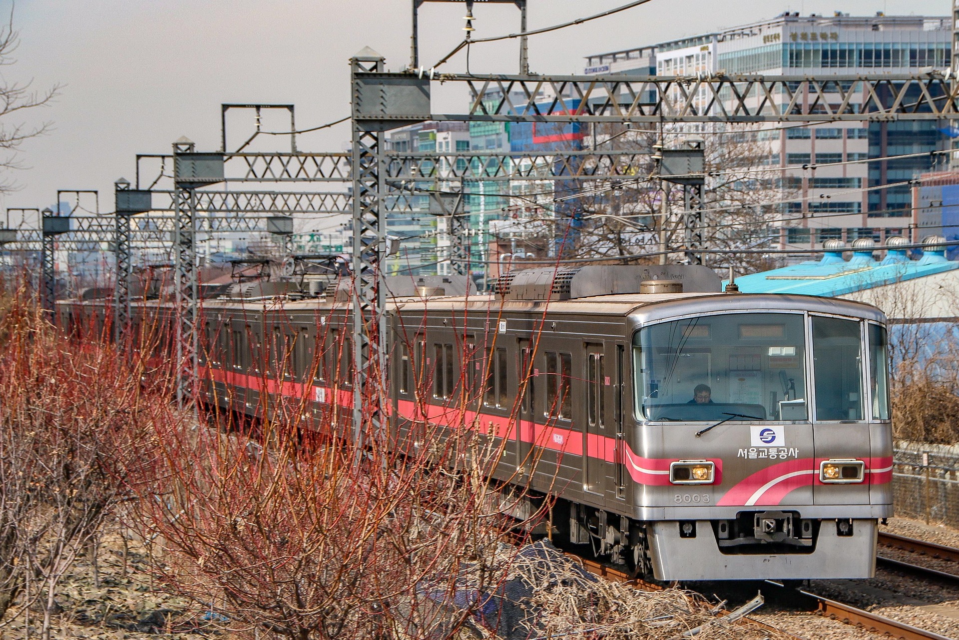 South Korea Introduces Transit Fare Cap to Help Commuters Save on Monthly Costs