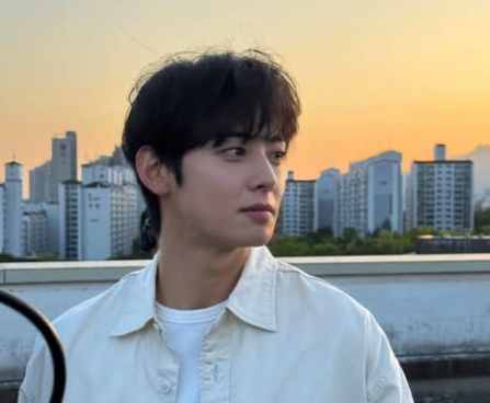 South Korean Actors Face Scrutiny Over Alleged Tax Practices Using Family-Owned Firms